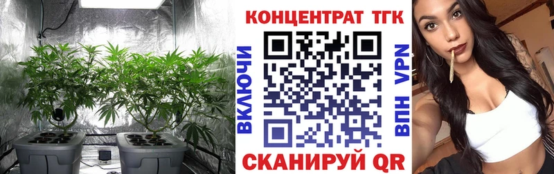 ТГК Wax  Купить где  Козловка 